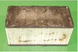 カビが発生したダクト式熱交換換気システムの素子